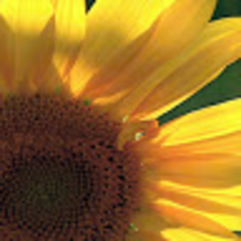 Meet your Posher, Melinda